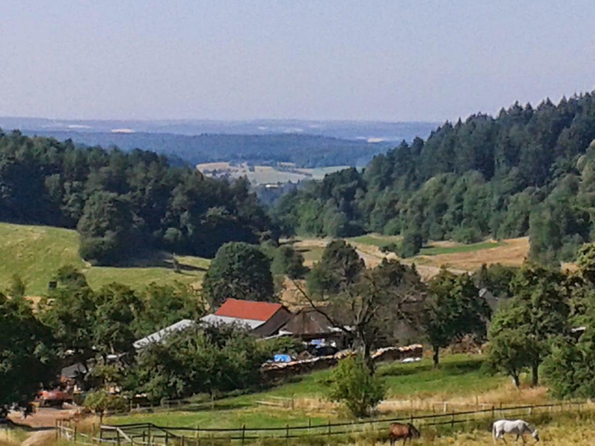 Fewo Darsberg Lejlighed Neckarsteinach Eksteriør billede