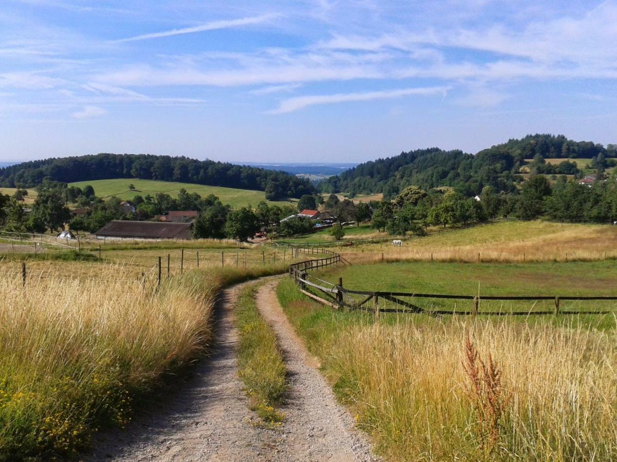 Fewo Darsberg Neckarsteinach Eksteriør billede