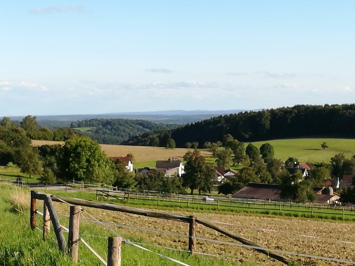 Fewo Darsberg Lejlighed Neckarsteinach Eksteriør billede