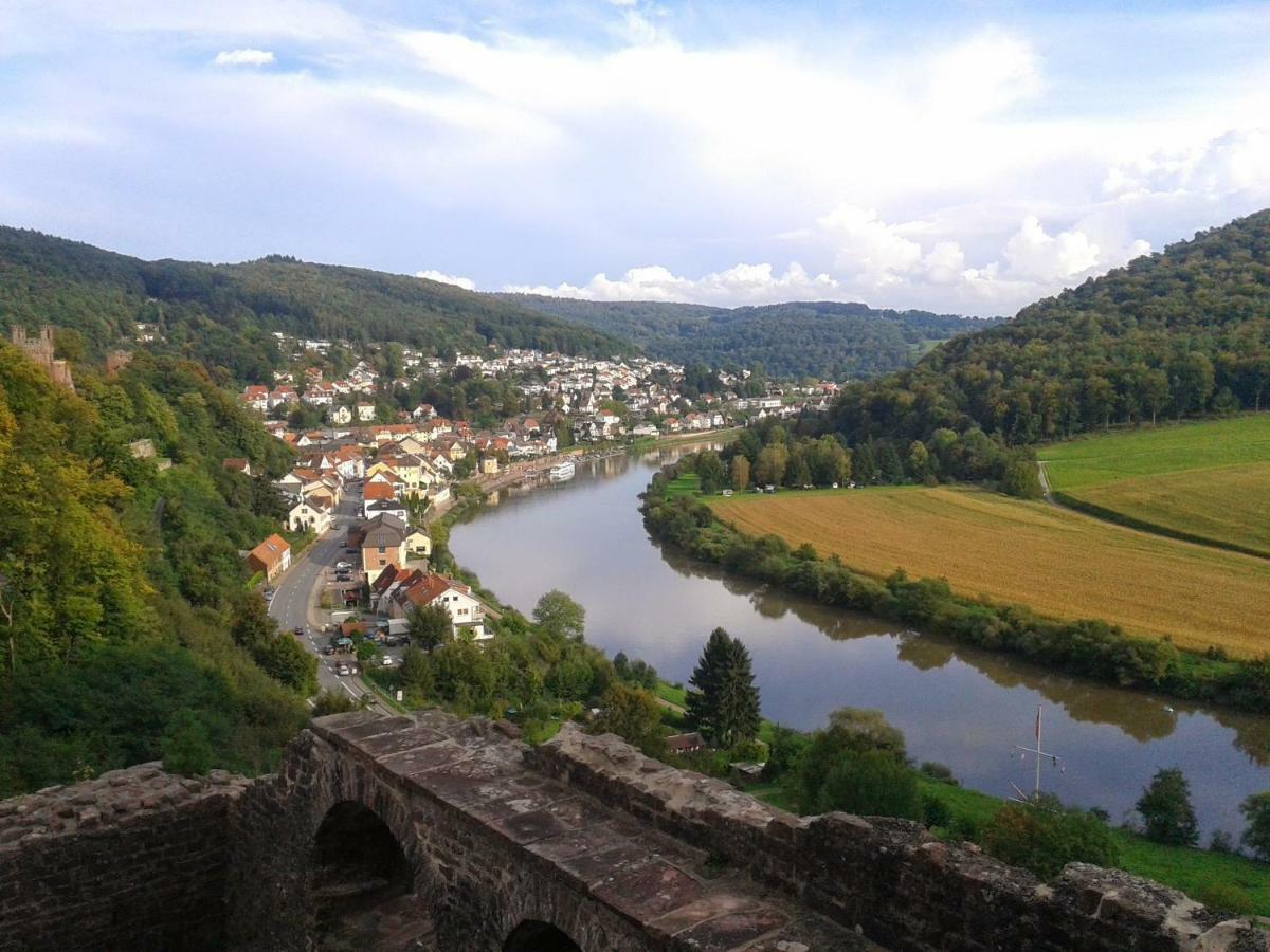 Fewo Darsberg Neckarsteinach Eksteriør billede